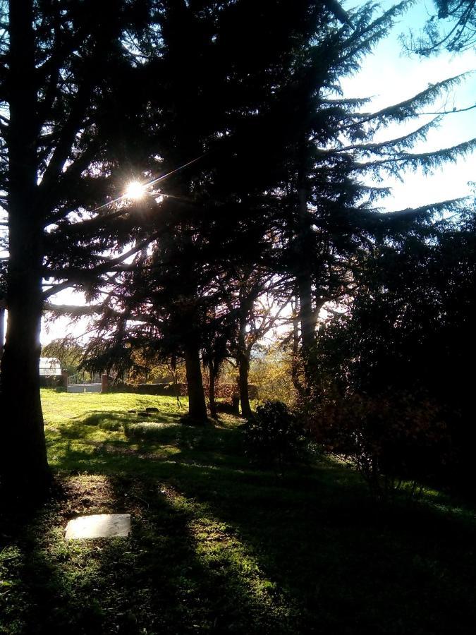 Le Manoir Des Rochers Bouere Buitenkant foto