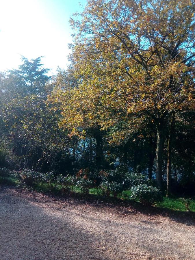 Le Manoir Des Rochers Bouere Buitenkant foto